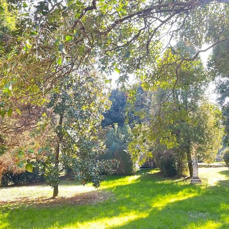 Villa Scalabrini Crespano del Grappa Экстерьер фото